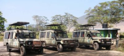 Three safari cars in the field