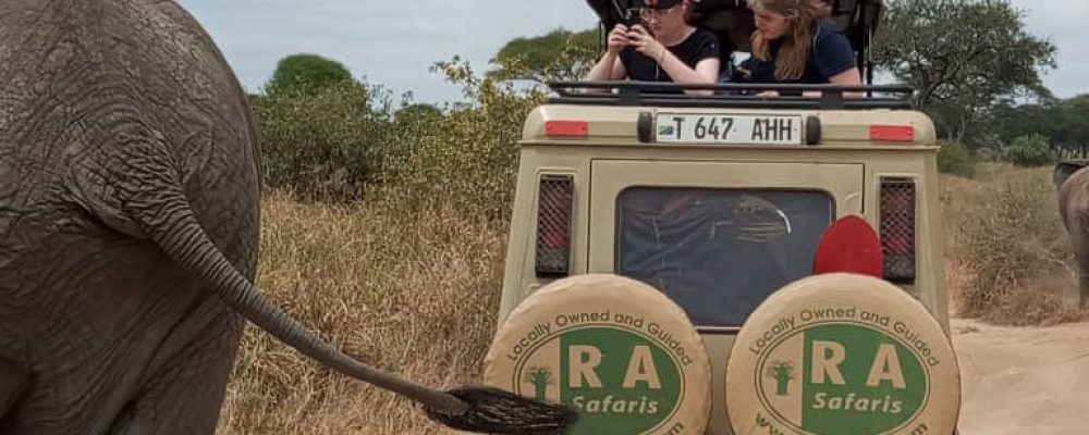On safari On safari